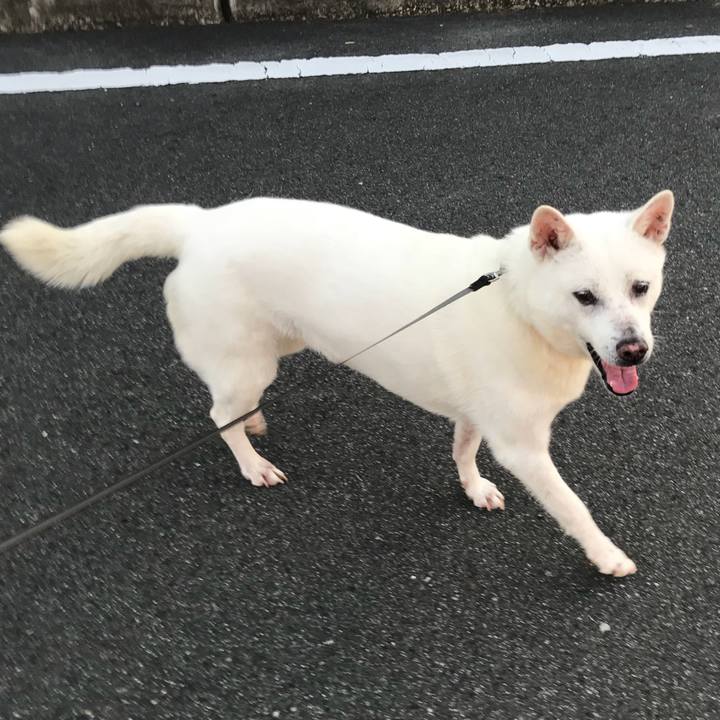 Eb273ceb 8a89 42f8 88ff cb17df77016e 1528166558561