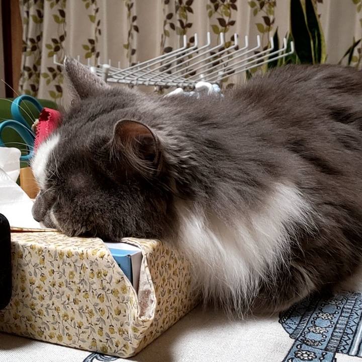 Eb273dc4 6480 4742 9c2b 4ac1ecfb3ebe 1678704455303