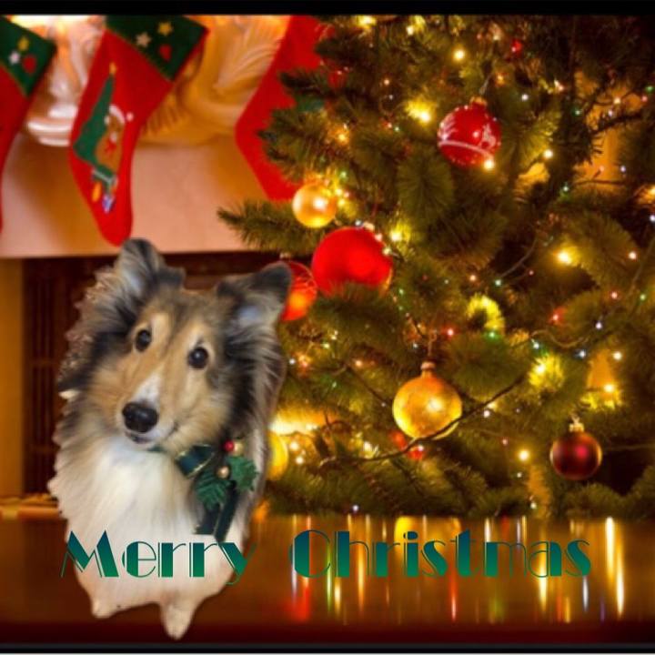 Eb27c240 159f 4d5d a73a 918db29db20e 1514117418989