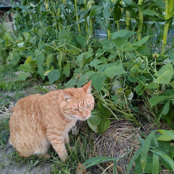 Eb27d35e de37 44bc a172 0dce6695a5d4 1690368055899