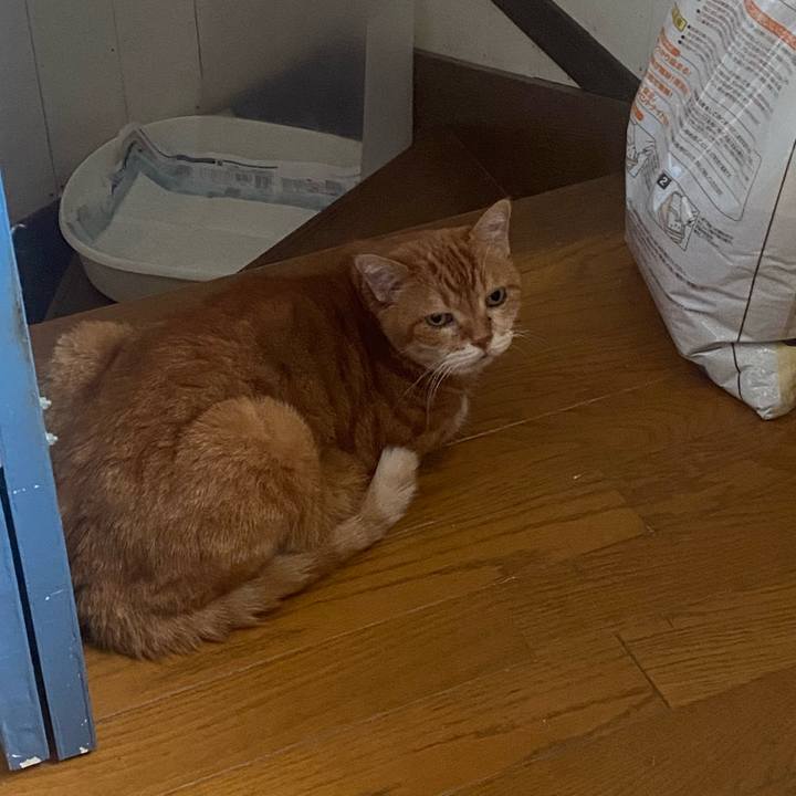 Eb27f053 4ca9 439b 8ce4 4da8ecacca87 1729903387015