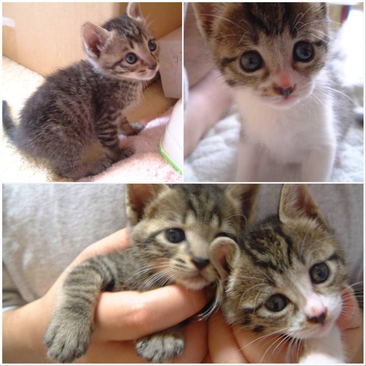 Eb28145d 3b40 462e af62 78a73c35a99e 1529976412498