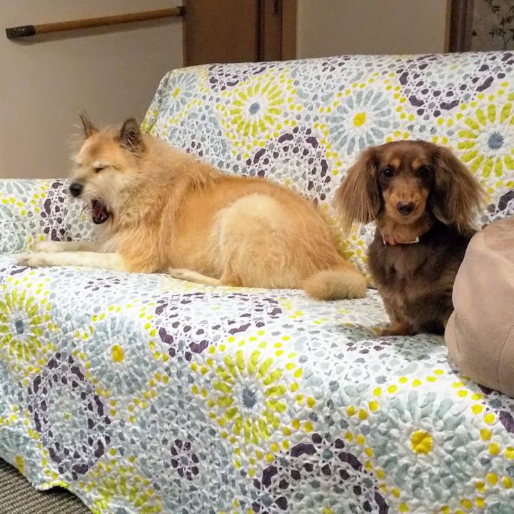 Eb28156b 8b8b 4185 96d7 90e29983ba29 1545998354118