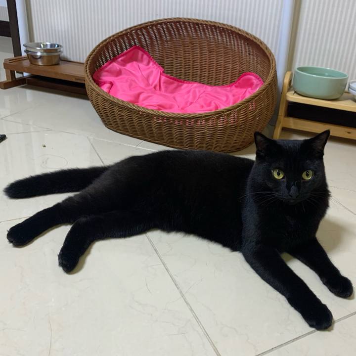 Eb282b30 543a 4bb5 8e73 9f3d2dec031e 1600472557920