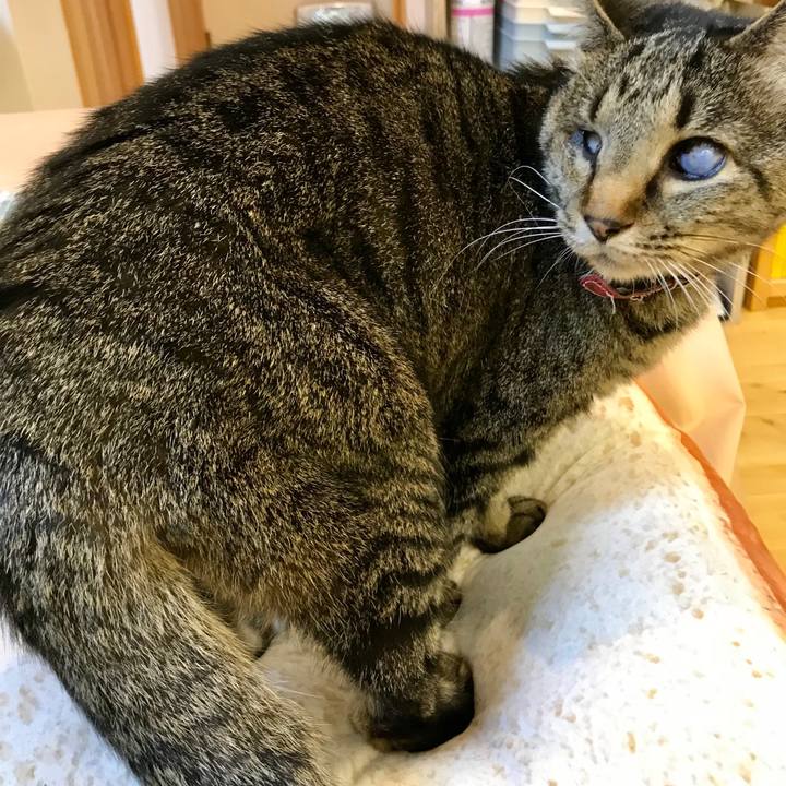 Eb283433 df9f 4858 bd1b 543ceb8e1043 1522978836429