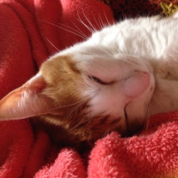 Eb283cd7 4253 4d41 b757 5f6161252308 1509361846723