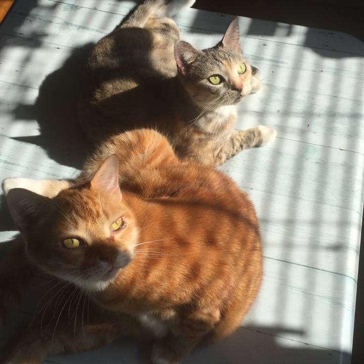 Eb284b30 3a05 445d bffa 956fe48af8d3 1572576417107