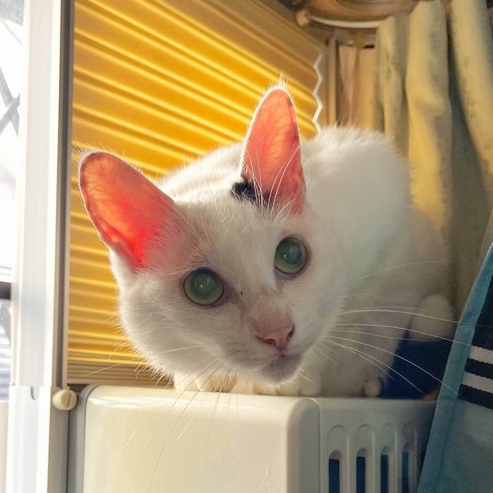 Eb285144 cd6a 4486 8f53 3213239942ab 1752101675054