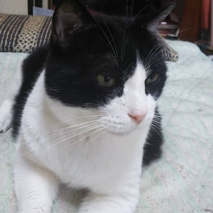 Eb285263 426a 4023 85bc c3d2564d3e82 1565501400730