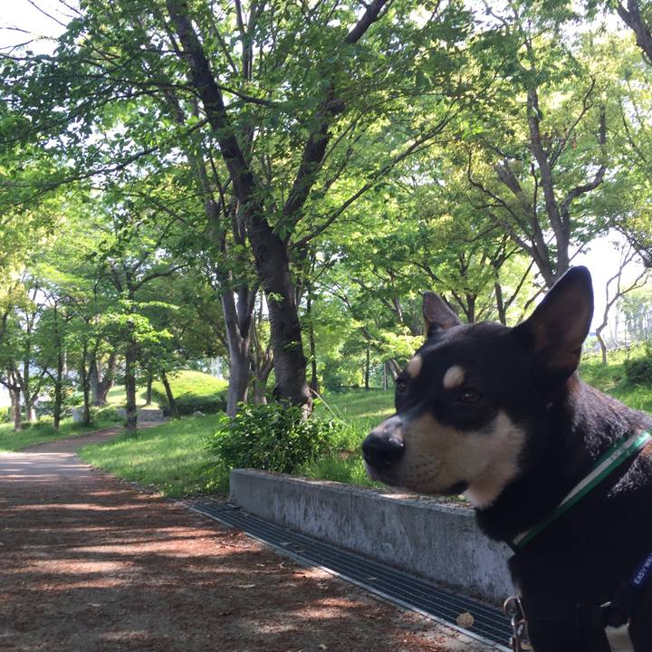 Eb2863c0 81cd 41f8 a052 936835fb5a89 1524196662423