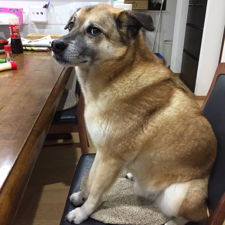 Eb2898e1 6107 4fff a169 7763d22e9a90 1521460974068