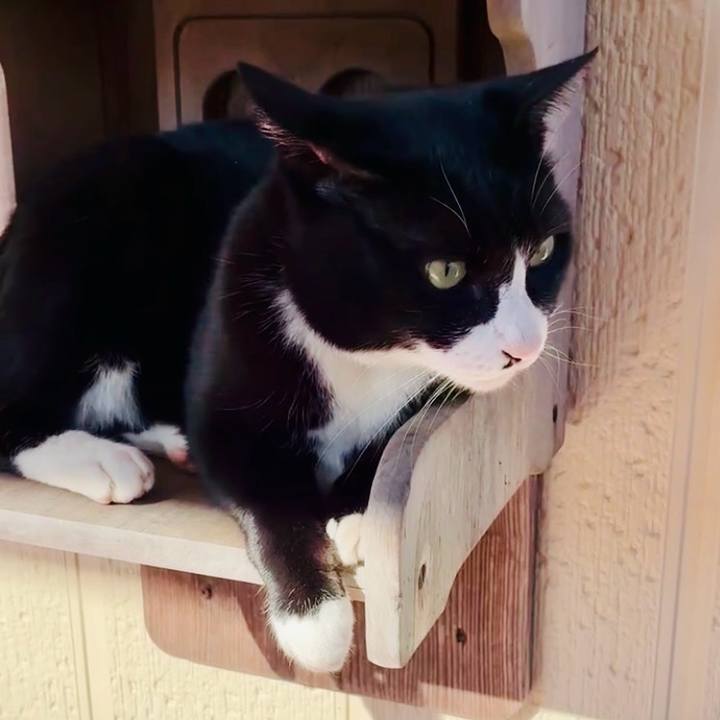 Eb289e7f a6f4 4428 bfe0 866593c75763 1763181018874