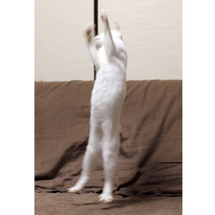 Eb28b65b a8fd 4c5b 9676 780f554b5d9e 1543244161473