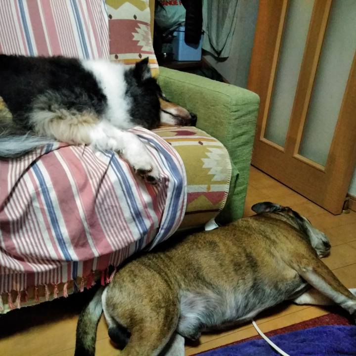 Eb28da91 ec62 4e45 9e3c f1de78d35652 1563632389861