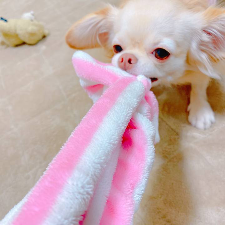 Eb28f90e ada9 4dd8 9243 85f7a67bda44 1637670149740