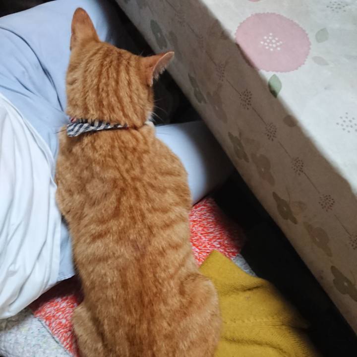 Eb29555d 87ff 499e bdde dc6322491865 1570531024971