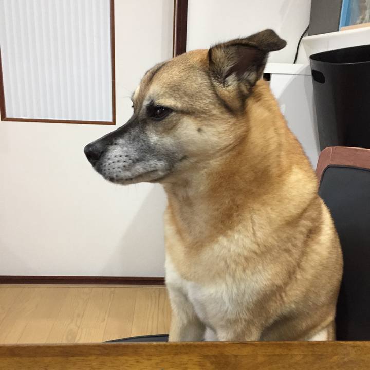 Eb29b0e4 b826 4977 8768 5cae6a712328 1510047988145