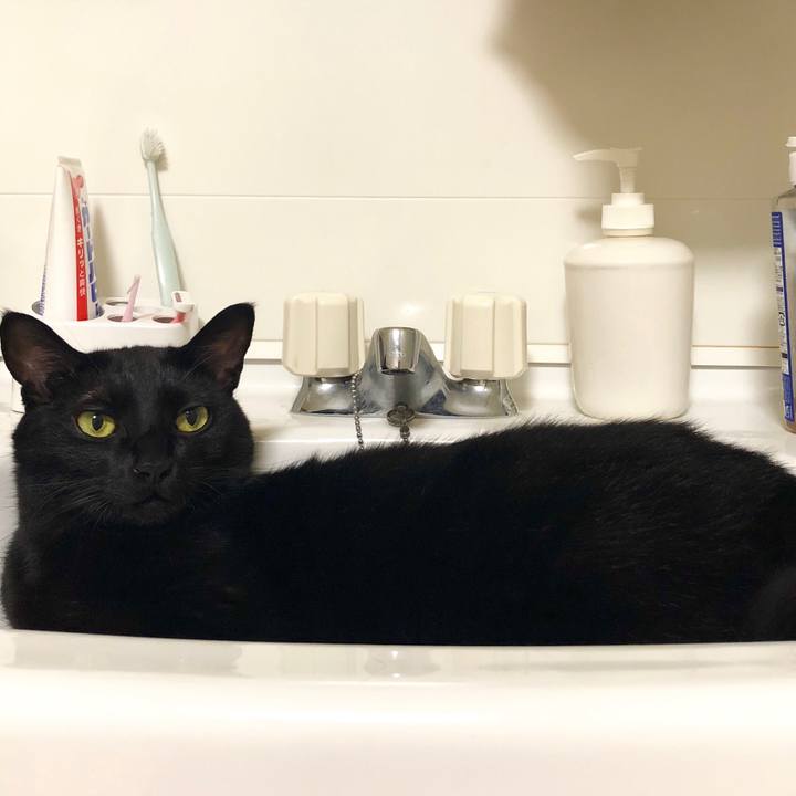 Eb29bb83 28a8 4047 84c1 3979857c8903 1538922579145