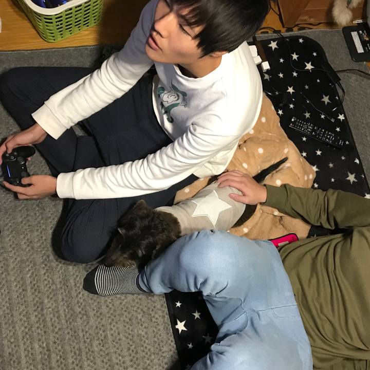 Eb29fd60 41ad 419b 9b73 65489f68e18a 1546430190532