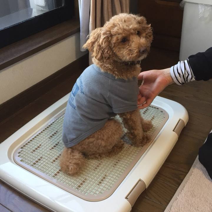 Eb2a1749 d533 423c bdd5 7be673948754 1516529646560