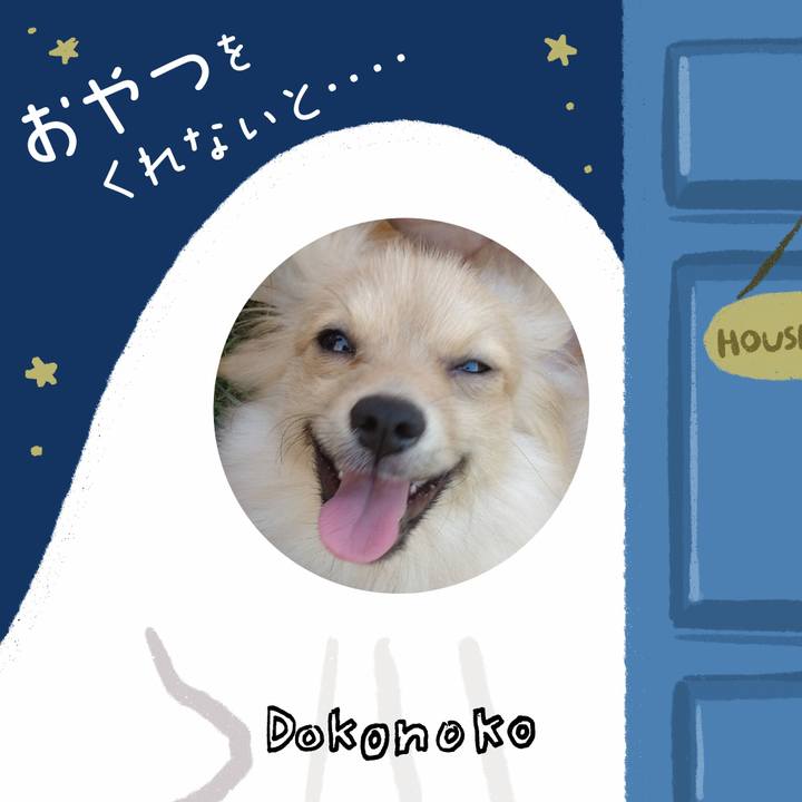 Eb2a27c2 f2e9 4bc2 86f0 d90e5124e56d 1729730869907