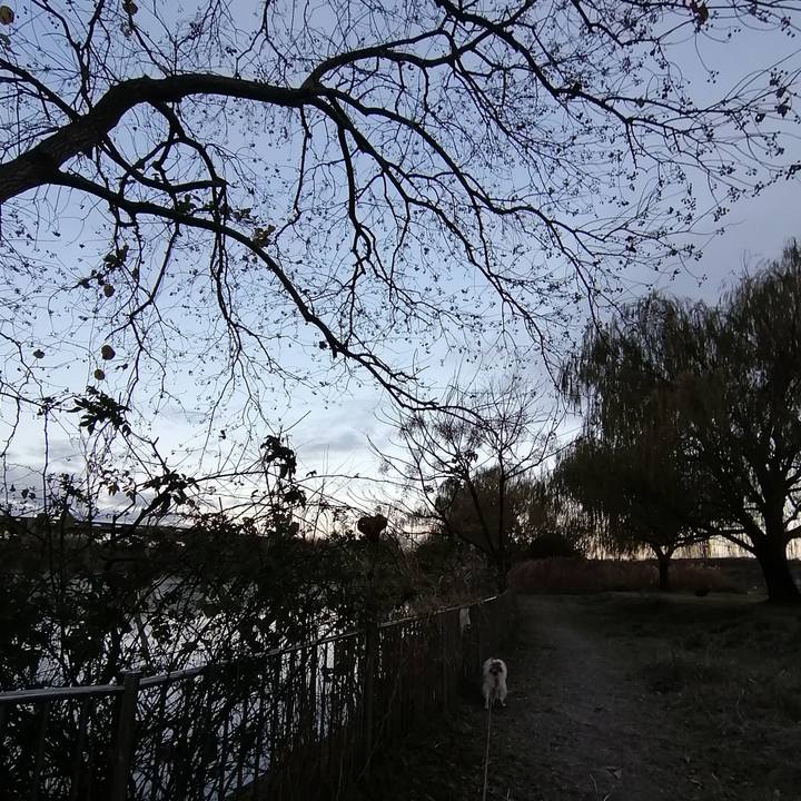 Eb2a5154 7a96 4582 b36c b04ee254375d 1608507099497