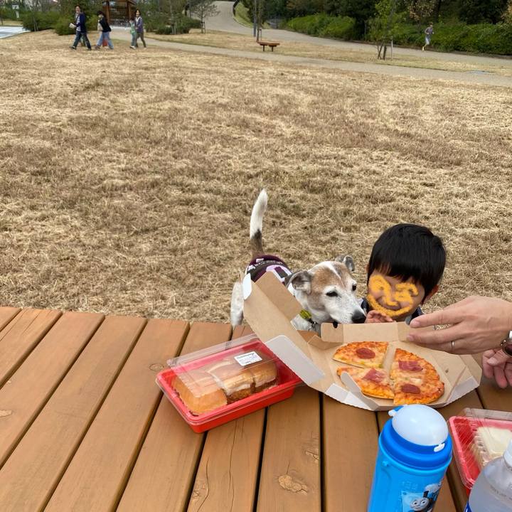 Eb2a6c6d b372 439f 8fa3 7f24175ae4c2 1603011724850