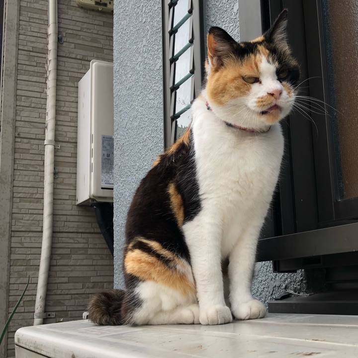 Eb2a8dff 6685 4067 b150 b18100332c1c 1620573365119