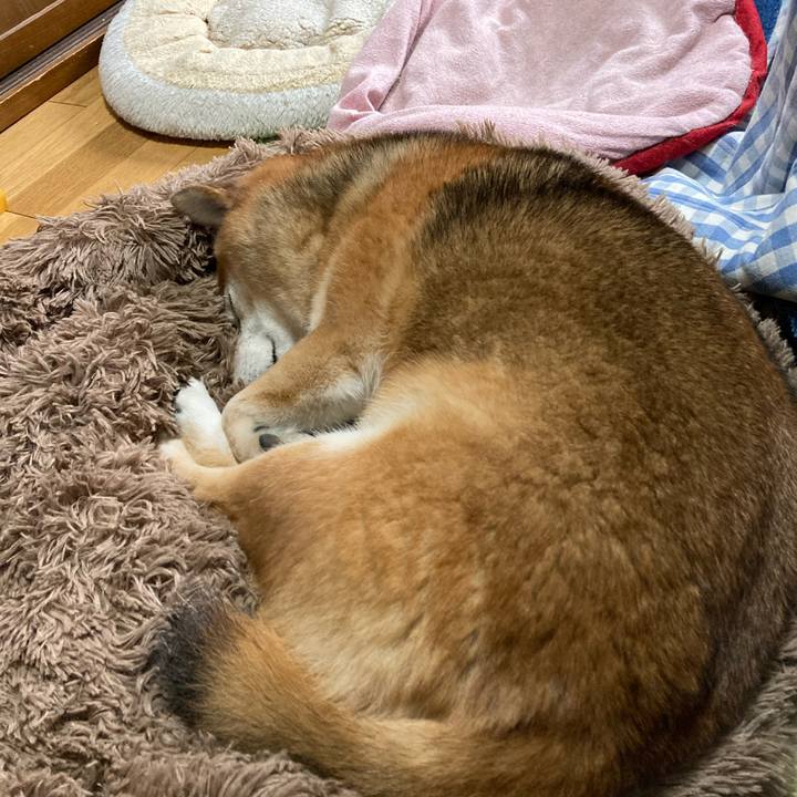 Eb2ad9b3 c17d 4a3f 86dc cdba99f1cd03 1669094875974