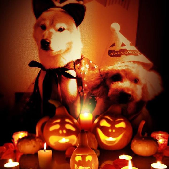 Eb2adfee bc3c 4f04 9a98 0a5581afb3e3 1509258609471