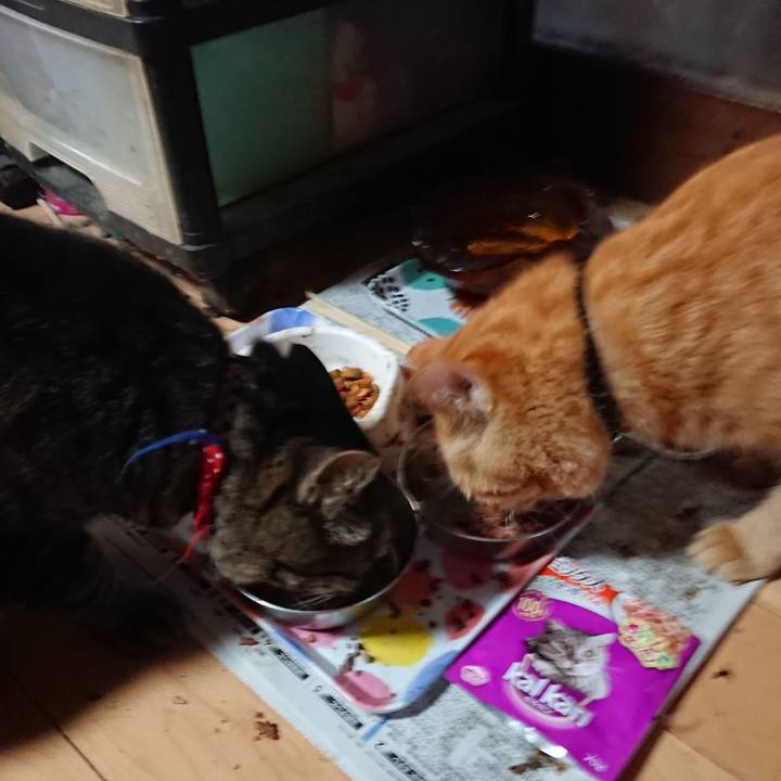 Eb2b0424 a095 4d12 8131 6f273f19baac 1659213822005