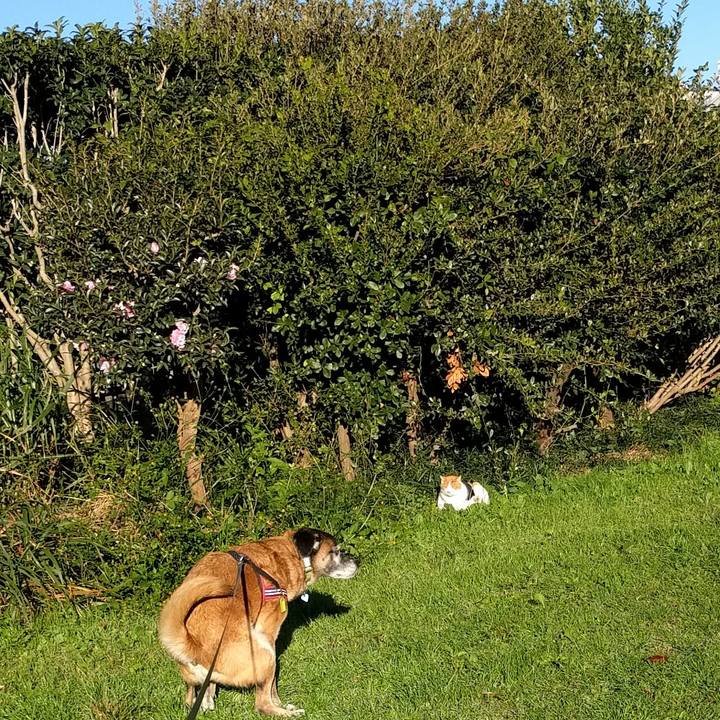 Eb2b17f3 10d9 4d08 85b4 0eee2a009dac 1542239064683