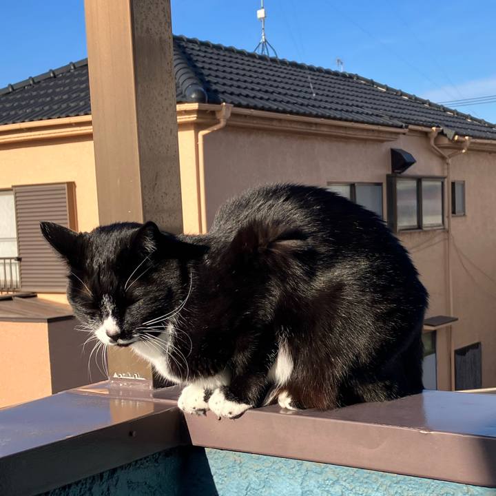 Eb2b2faa 54f0 4bbd a558 5a71a2b55cb6 1707362534716