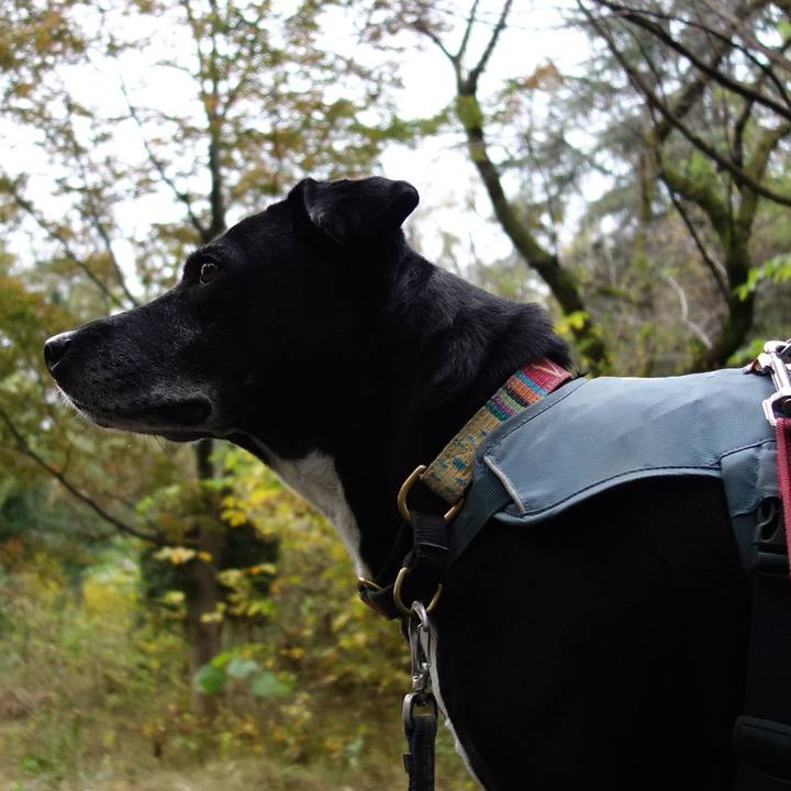 Eb2b3643 6714 4c62 919b 11c3272c723f 1731799772331