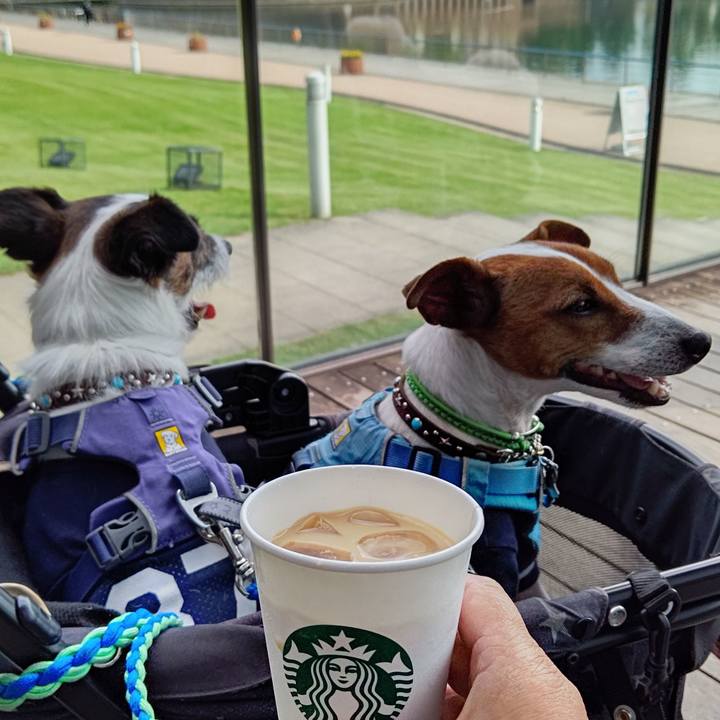 Eb2b3fdf e1d0 4596 bf23 4d02dc3dd20c 1657870716502