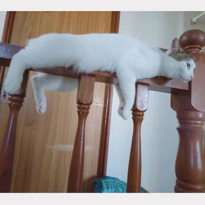 Eb2b41b8 19b9 4cdc b1d6 950daee80dbe 1723338695532