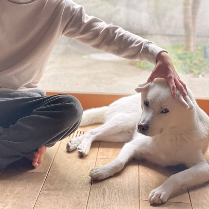 Eb2b43d1 1f89 41b6 92d9 400c55a082f9 1649388798804