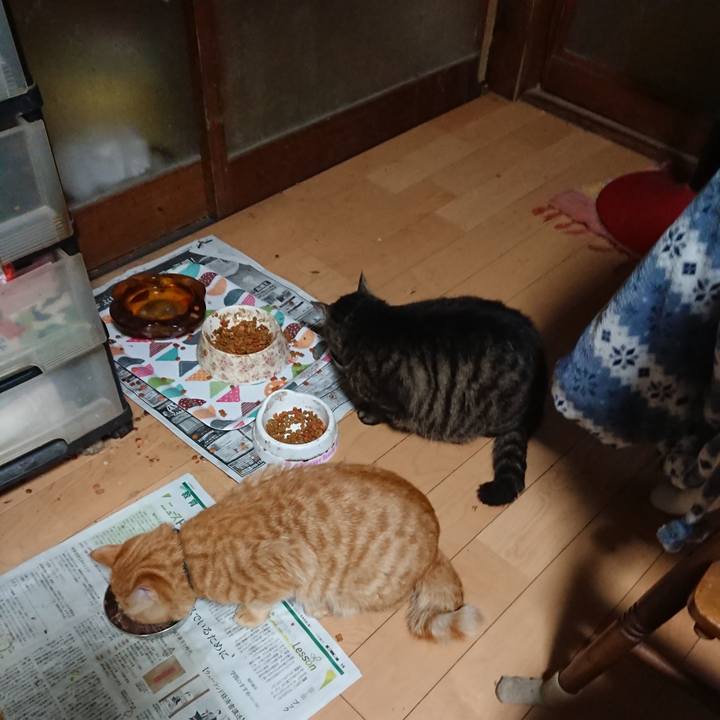 Eb2b7347 e91a 41ef ae50 efd088e84d1e 1652389115621