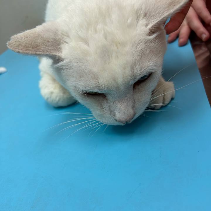 Eb2b7c18 0390 4830 906f 4ac8ae43accd 1690037974233