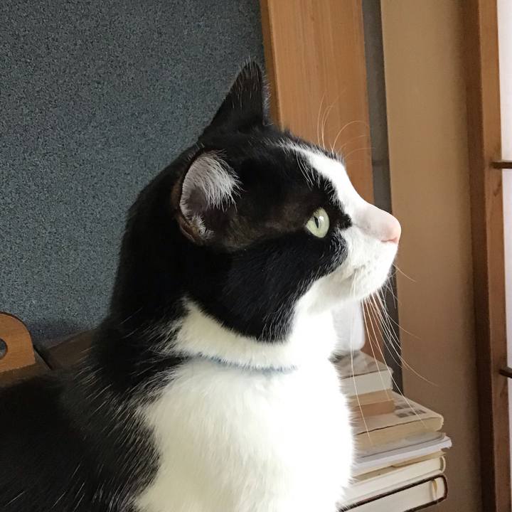 Eb2b8ba9 da74 4b83 b704 22e57adb977a 1708850973462