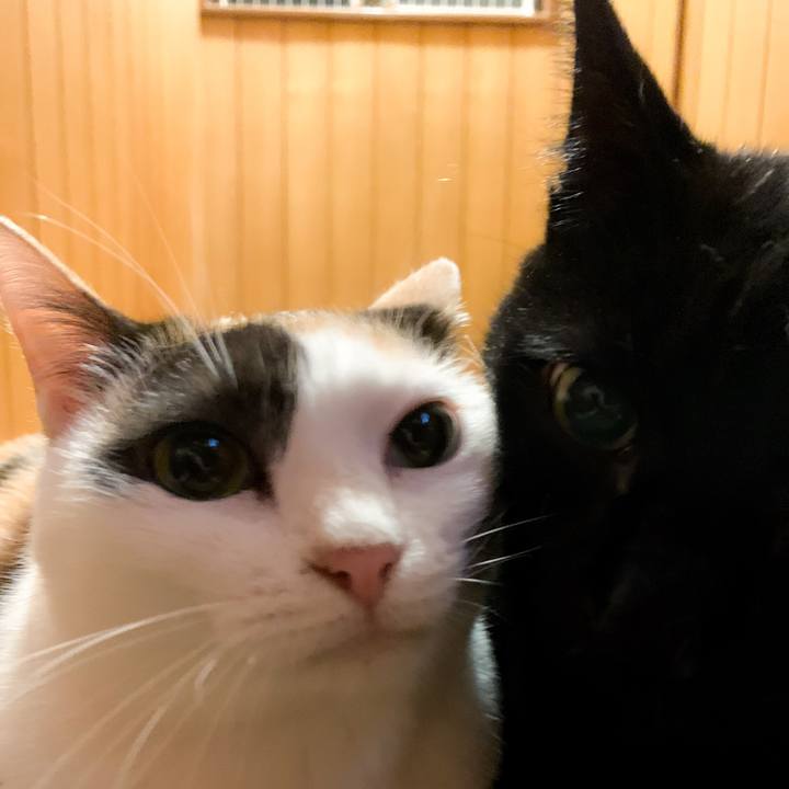 Eb2b8f4f 87f4 44c8 a119 86b9d65d7b7e 1571449455389