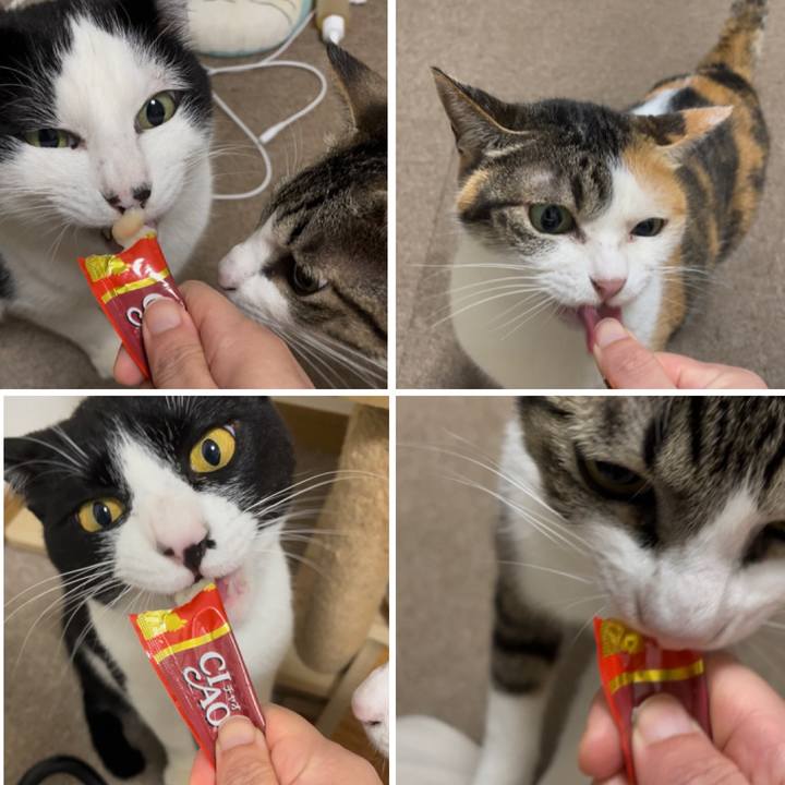 Eb2bdd1c 7b37 4f99 80c5 62546314fdfa 1748682020381