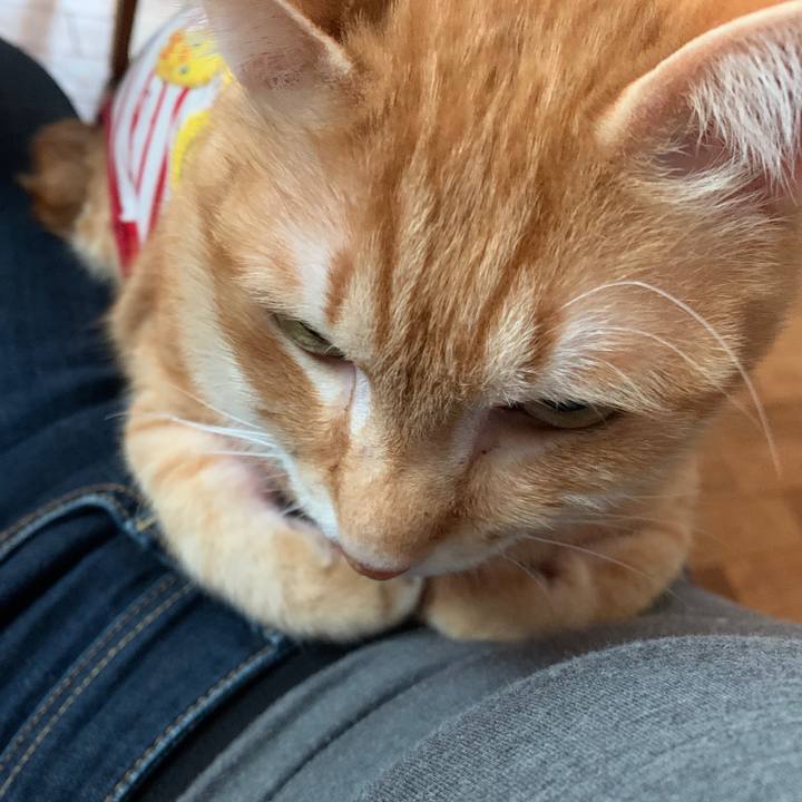 Eb2c027c 62a5 4b11 b1a5 1b8dd5b8d69d 1582528302593