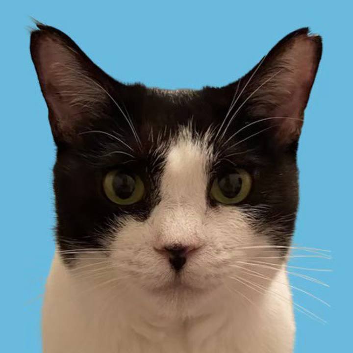 Eb2c0eac 3d10 4fa5 9851 41d52586d864 1721907918701