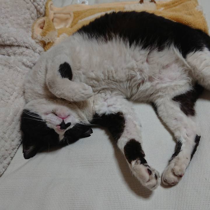 Eb2c124f e5ef 4e82 a3e7 3fd4517d4ec8 1561758159583