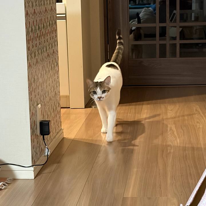 Eb2c25be 817c 40a8 8d2a 0971e30f48ac 1768473426349