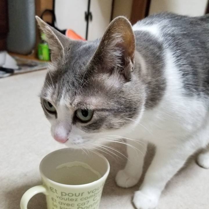 Eb2c5814 0af6 4cec 8e0b 1d4221b793f2 1612613990879