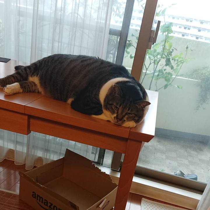 Eb2c6b31 91fc 4870 9ff3 035b76710a53 1535065974913