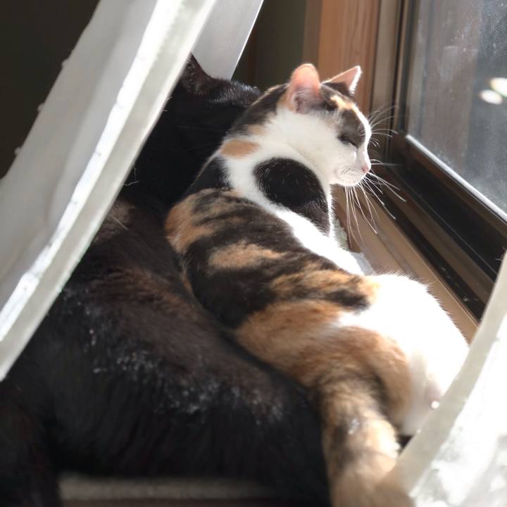 Eb2ca5df a70f 43b3 8d54 419a46533247 1539826309696