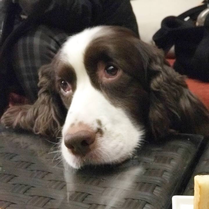 Eb2caa61 21f2 4c52 b13e 43c47bc6ce17 1510285394334